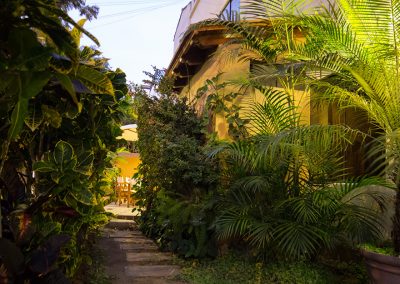 jardin-(4-de-5)